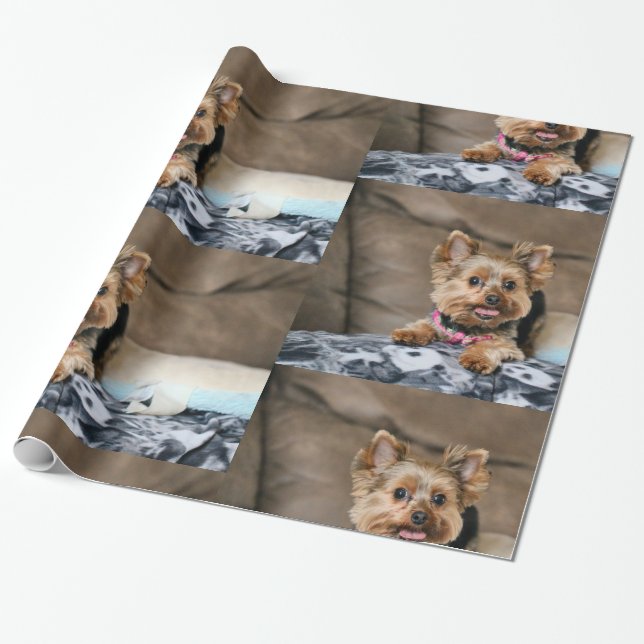 Papier Cadeau Tiny Dynamo (Déroulé)