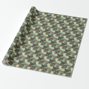 Papier Cadeau Tortue