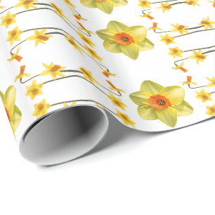 Papier Cadeau Toujours ressort
