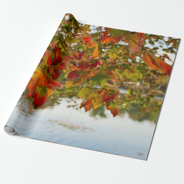 Papier Cadeau Tourner les Feuilles (Déroulé)