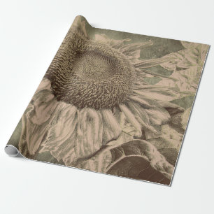 Papier Cadeau Tournesol Sepia Tone Art Brown Texture Découpage