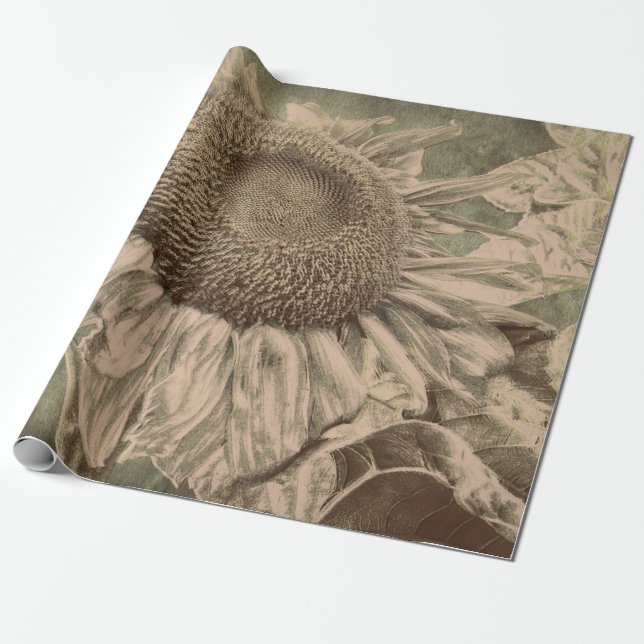 Papier Cadeau Tournesol Sepia Tone Art Brown Texture Découpage (Déroulé)