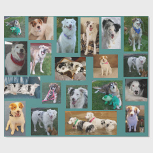 Papier Cadeau Tout le chien enveloppant Paper2