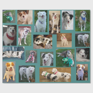 Papier Cadeau Tout le chien enveloppant Paper2