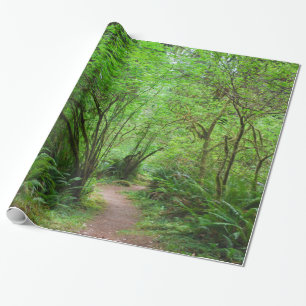 Papier Cadeau Traînée dans la forêt de séquoia