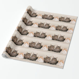 Papier Cadeau Trois chats à coon du Maine