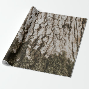 Papier Cadeau Tronc d'arbre gris