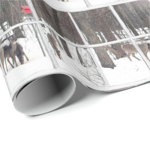 Papier Cadeau troupeau de cerfs dans les bois d'hiver