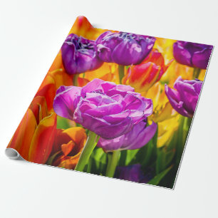 Papier Cadeau Tulipes Enchanter coloré