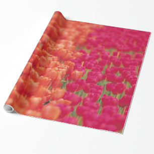 Papier Cadeau Tulipes orange et rose