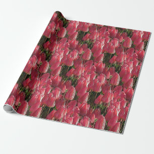 Papier Cadeau Tulipes roses florales