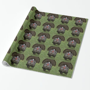 Papier Cadeau Turquie