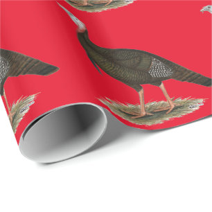 Papier Cadeau Turquie :  Tom sauvage oriental
