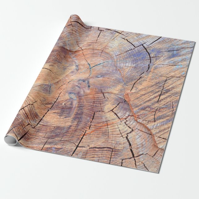 Papier Cadeau Un arbre coupé. Bois de bois dans les bois. Textur (Déroulé)