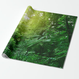 Papier Cadeau Un couvert d'arbres illuminé dans la jungle tropic