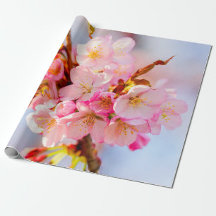 Papier Cadeau Un Ensemble De Fleurs De Sakura Adorables Et Douce
