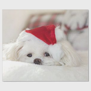 Papier Cadeau Un mignon chien blanc dans un Casquette de Noël ro