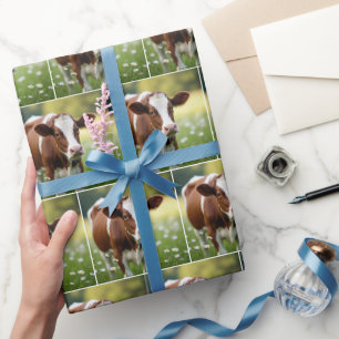 Papier Cadeau Vache de Guernesey dans un champ de pâquerettes