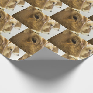 Papier Cadeau Vaches laitières Brown