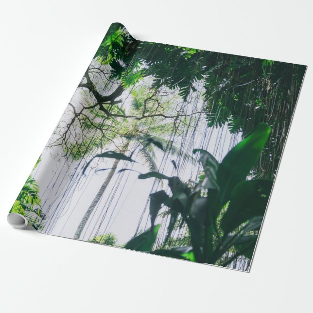 Papier Cadeau Vagues marines (Déroulé)