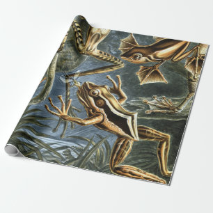Papier Cadeau Variété d'Ernst Haeckel de grenouilles exotiques :