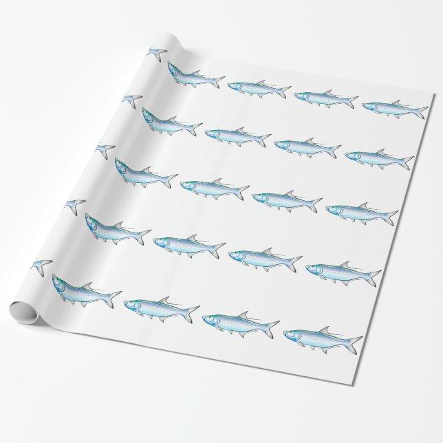 Papier Cadeau Vecteur d'illustration de Gamefish d'océan de (Déroulé)