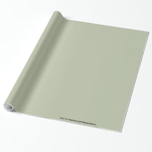 Papier Cadeau Vert pâle pâle Élégant Neutre Couleur solide