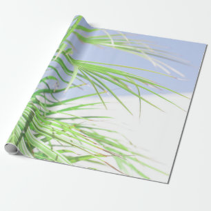 Papier Cadeau Vibes d'été Palm Tree Feuilles Pale Green Pastel