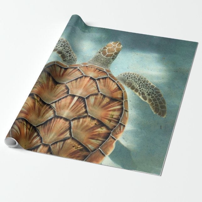 Papier Cadeau Vie maritime (Déroulé)