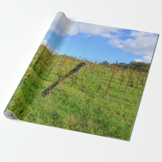 Papier Cadeau Vignoble toscan (Déroulé)
