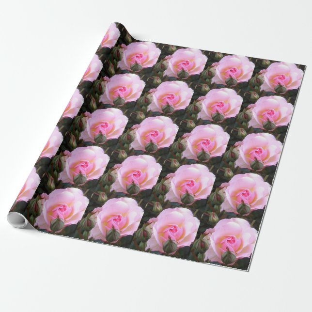 Papier Cadeau Vingtième anniversaire de Mariage Parfait Rose ang (Déroulé)