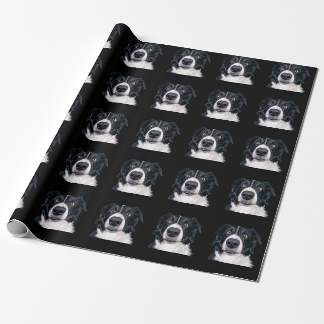 Papier Cadeau Visage de chien noir et blanc (Déroulé)