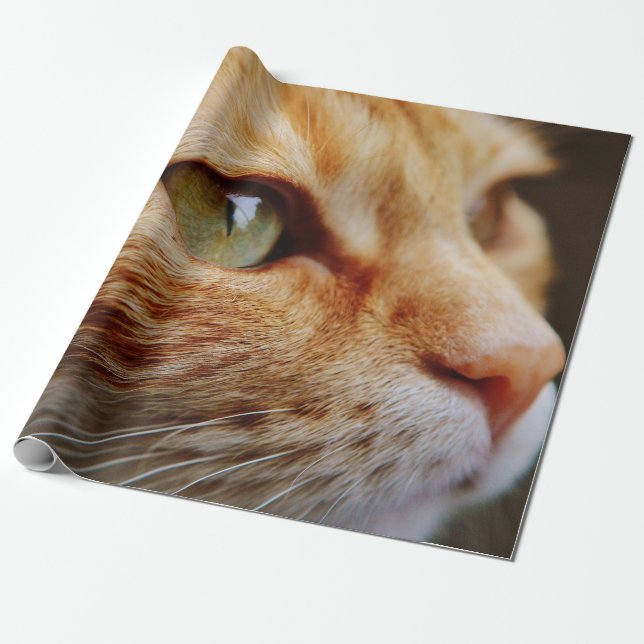 Papier Cadeau Visage déterminé d'un chat de gingembre (Déroulé)