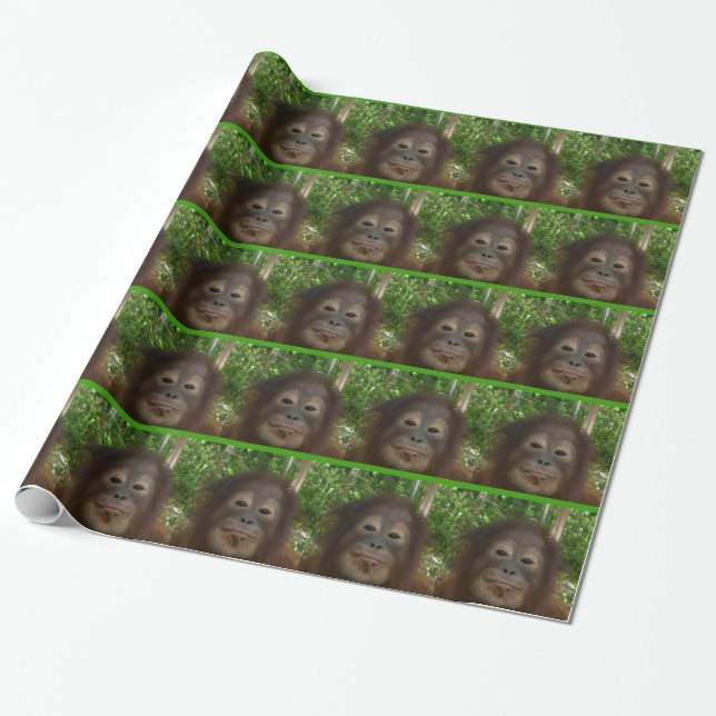 Papier Cadeau Visage d'orang-outan (Déroulé)