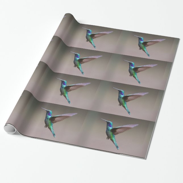 Papier Cadeau Vol Du Colibri (Déroulé)
