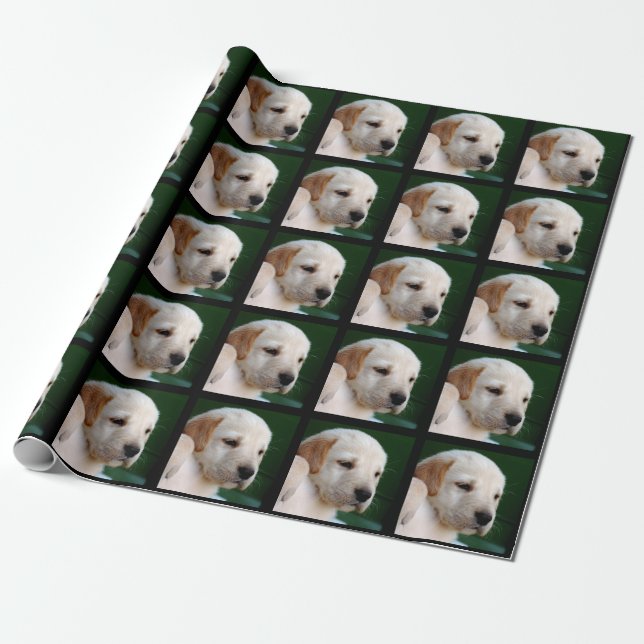 Papier Cadeau Votre photo carrée remplace le chiot jaune de (Déroulé)
