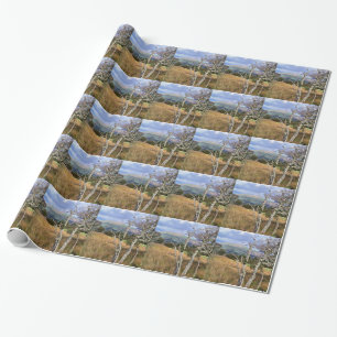 PAPIER CADEAU VUES DES ALLES