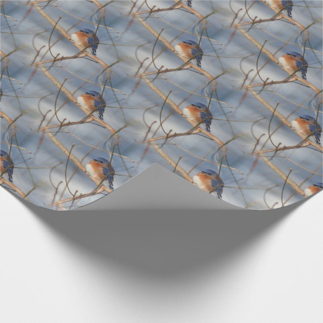 Papier Cadeau Winter Bluebird Nature Motif   (Coin)