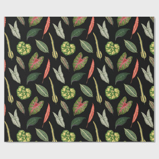 Papier Cadeau Wrapping Paper