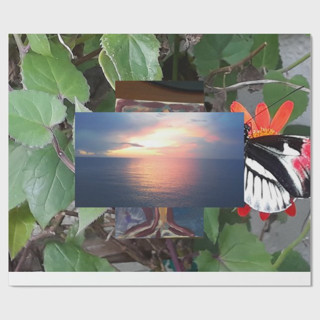 Papier Cadeau Zebra tail butterfly (Plat)