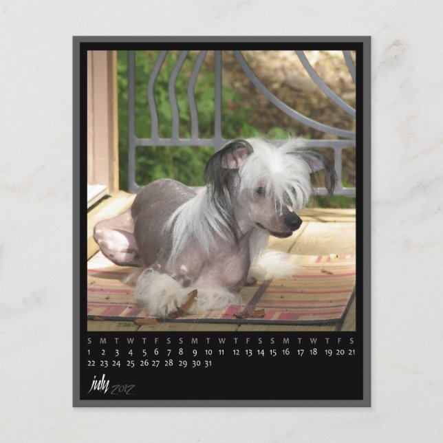 Papier calendrier juillet 2012 (Devant)