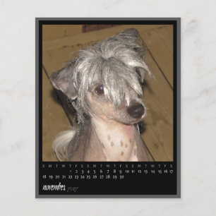 Papier calendrier novembre 2012