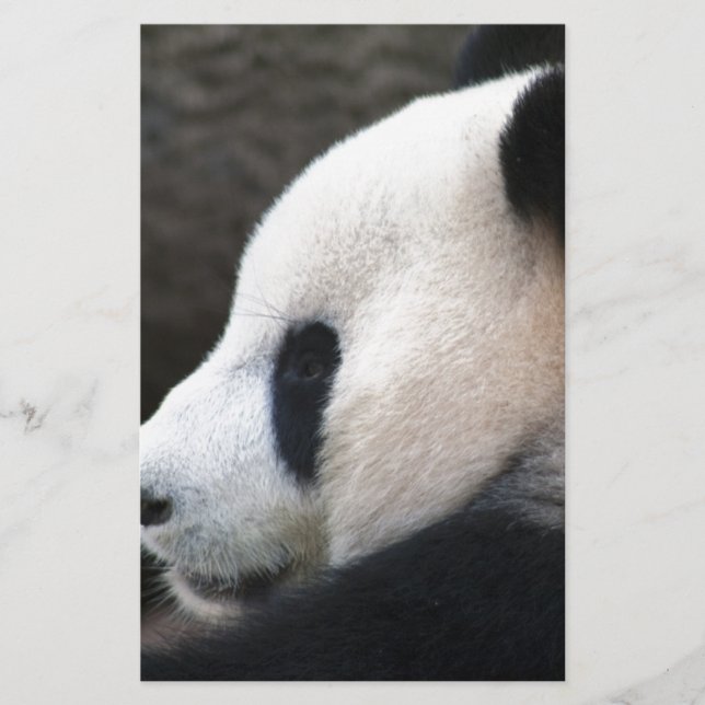 Papier Câlins de Panda (Devant)