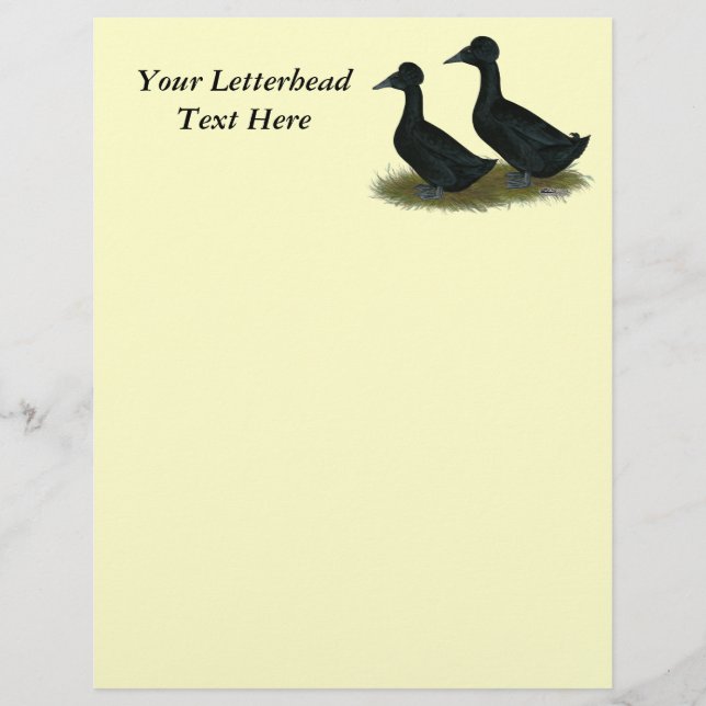 Papier Canards : Black Crested (Devant)