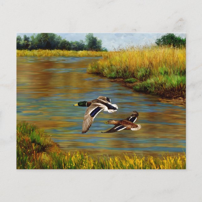 Papier Canards-Majards Survolant L'Étang (Devant)