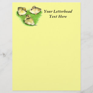 Papier Canetons de canard colvert enneigés