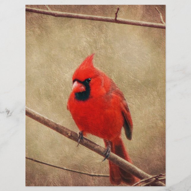 Papier Cardinal (Devant)