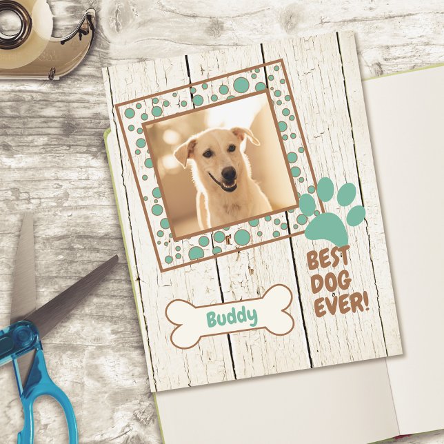 Papier Cardstock photo pour chien de compagnie (Créateur téléchargé)