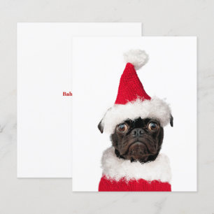 Papier Carlin de Noël mignon Puppy Père Noël