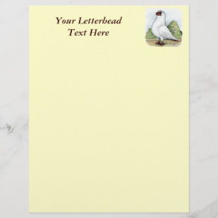 Papier Casque : Pigeon rouge